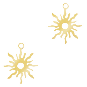 Bedels van Stainless steel Roestvrij staal (RVS) zon Goud