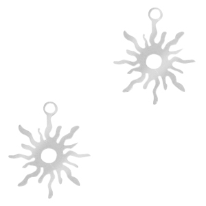 Bedels van Stainless steel Roestvrij staal (RVS) zon Zilver