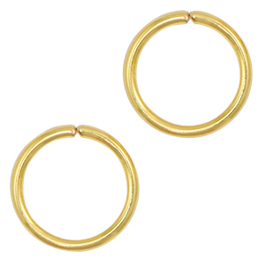 Benodigdheden van Stainless steel Roestvrij staal (RVS) buigring 5mm Goud