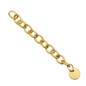 Benodigdheden van Stainless steel Roestvrij staal (RVS) verlengketting coin 8mm Goud