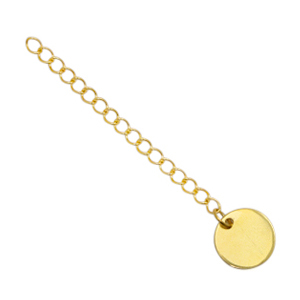Benodigdheden van Stainless steel Roestvrij staal (RVS) verlengketting coin 10mm Goud