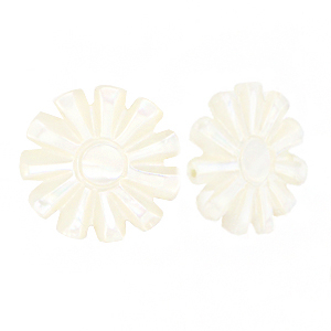 Schelp kralen sun White (natuurlijke kleur)