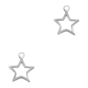 Bedels van Stainless steel Roestvrij staal (RVS) star Zilver