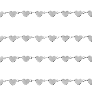 Benodigdheden van Stainless steel Roestvrij staal (RVS) jasseron heart Zilver