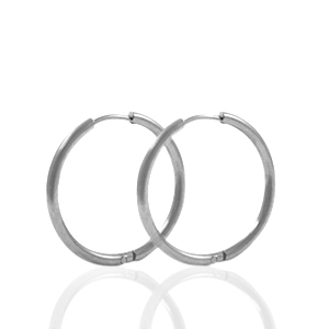 Oorbellen van Stainless steel Roestvrij staal (RVS) creolen 22mm Zilver