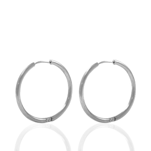 Oorbellen van Stainless steel Roestvrij staal (RVS) creolen 18mm Zilver