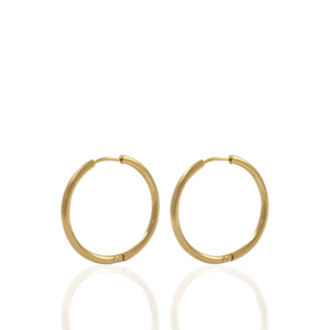 Oorbellen van Stainless steel Roestvrij staal (RVS) creolen 14mm Goud