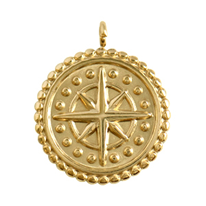 Bedels van Stainless steel Roestvrij staal (RVS) star Goud