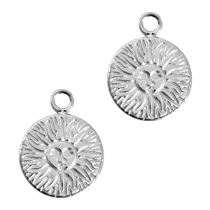 Bedels van Stainless steel Roestvrij staal (RVS) sun Zilver