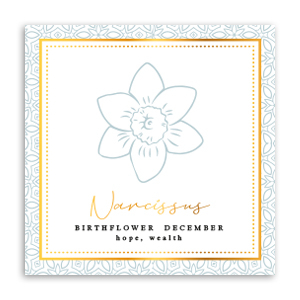 Kaartjes voor sieraden Birth flower December-Narcissus Greenish grey