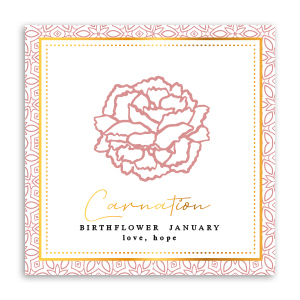 Kaartjes voor sieraden Birth flower January-Carnation Red