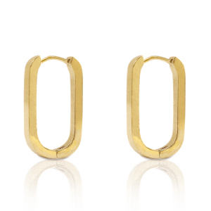 Oorbellen van Stainless steel Roestvrij staal (RVS) oval Goud