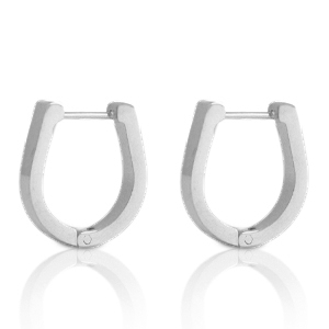 Oorbellen van Stainless steel Roestvrij staal (RVS) horseshoe Zilver