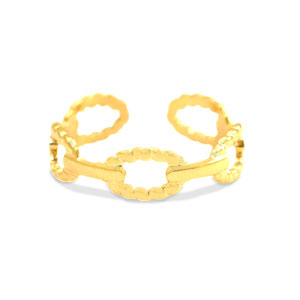 Ringen van Stainless steel Roestvrij staal (RVS) Goud