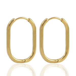 Oorbellen van Stainless steel Roestvrij staal (RVS) creolen oval Gold