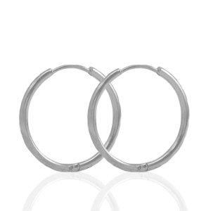 Oorbellen van Stainless steel Roestvrij staal (RVS) creolen 19mm Silver