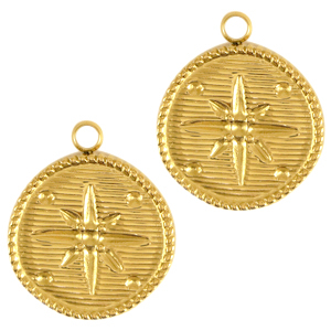 Bedels van Stainless steel Roestvrij staal (RVS) star Goud