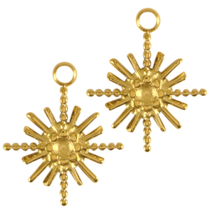 Bedels van Stainless steel Roestvrij staal (RVS) star Goud