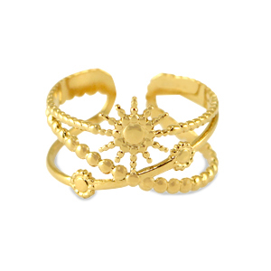 Ringen van Stainless steel Roestvrij staal (RVS) Goud