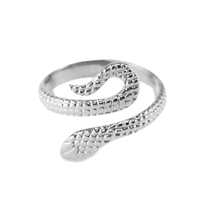 Ringen van Stainless steel Roestvrij staal (RVS) Zilver
