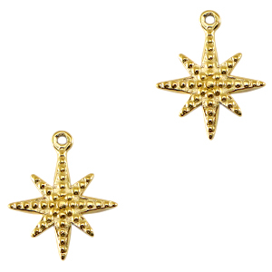 Bedels van Stainless steel Roestvrij staal (RVS) star Gold