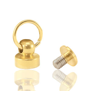 Rivet voor telefoonhoes Gold