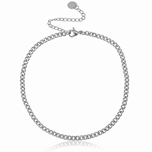 Enkelbandjes van Stainless steel Roestvrij staal (RVS) schakel Zilver