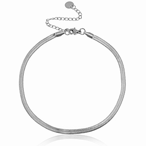 Enkelbandjes van Stainless steel Roestvrij staal (RVS) schakel snake Zilver