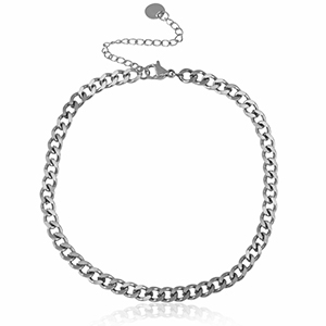 Enkelbandjes van Stainless steel Roestvrij staal (RVS) schakel Zilver