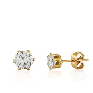 Oorbellen van Stainless steel Roestvrij staal (RVS) zirconia Gold