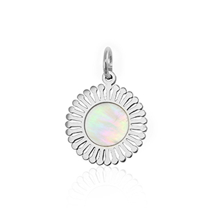 Bedels van Stainless steel Roestvrij staal (RVS) shell 12mm Silver-white (natuurlijke kleur)