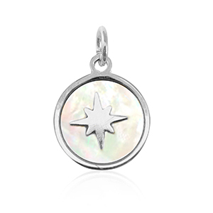 Bedels van Stainless steel Roestvrij staal (RVS) shell 10mm Silver-white (natuurlijke kleur)