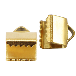 Benodigdheden van Stainless steel Roestvrij staal (RVS) lintklem 6mm Gold
