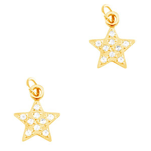 Bedels van Stainless steel Roestvrij staal (RVS) star Gold