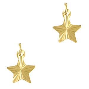 Bedels van Stainless steel Roestvrij staal (RVS) star Gold