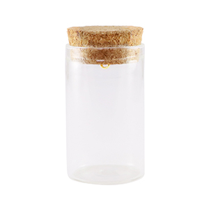 Wens flesjes met kurk 5x3cm Transparent