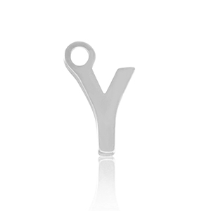 Bedels van Stainless steel Roestvrij staal (RVS) initial Y Silver