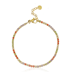 Armbanden van Stainless steel Roestvrij staal (RVS) Goud-multicolour