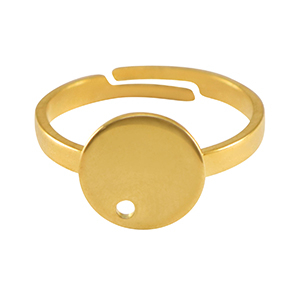 Benodigdheden van Stainless steel Roestvrij staal (RVS) ringen Gold