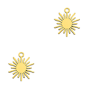 Bedels van Stainless steel Roestvrij staal (RVS) zon Gold