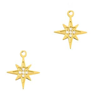 Bedels van Stainless steel Roestvrij staal (RVS) star Gold