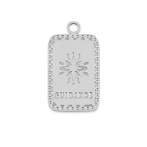Bedels van Stainless steel Roestvrij staal (RVS) La Luna 'Guidance' Silver