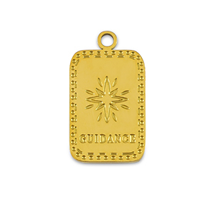 Bedels van Stainless steel Roestvrij staal (RVS) La Luna 'Guidance' Gold