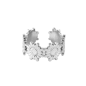Ringen van Stainless steel Roestvrij staal (RVS) Silver