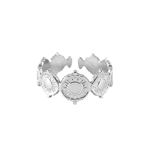 Ringen van Stainless steel Roestvrij staal (RVS) Silver