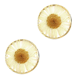 Gedroogde bloemetjes tussenstukken 20mm Gold-beige