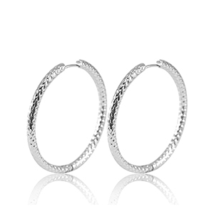 Oorbellen van Stainless steel Roestvrij staal (RVS) creolen 25mm Silver