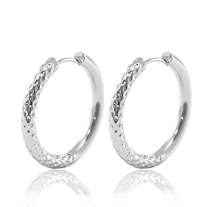 Oorbellen van Stainless steel Roestvrij staal (RVS) creolen reversible 23mm Silver