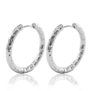 Oorbellen van Stainless steel Roestvrij staal (RVS) creolen 25mm Silver