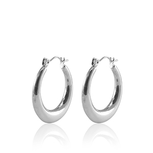 Oorbellen van Stainless steel Roestvrij staal (RVS) creolen 25mm Silver